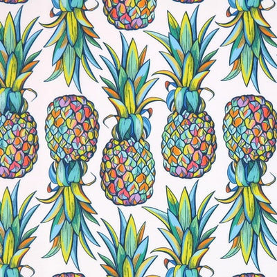 rainbow pineapples outdoor waterproof fabric