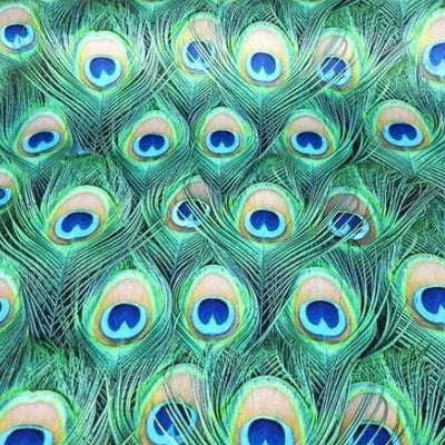 peacock feathers velvet fabric